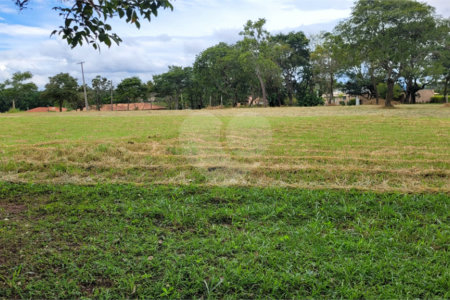 Loteamento Residencial no Condomínio Vila Pinhal do Broa.
