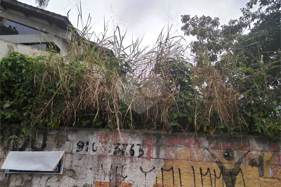 Terreno Barro Branco