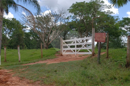 Sitio para venda.
