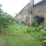 Casa á venda - Jabaquara