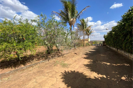 Excelente sitio para venda.
