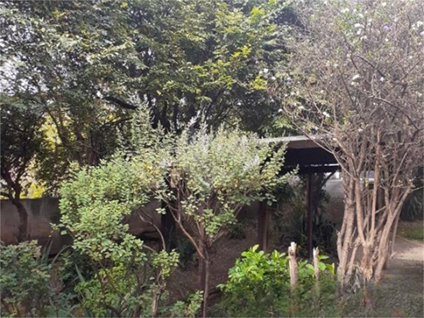 Casa Térrea à venda com 6 quartos, sendo 1 suíte, em Pirituba, São Paulo, SP