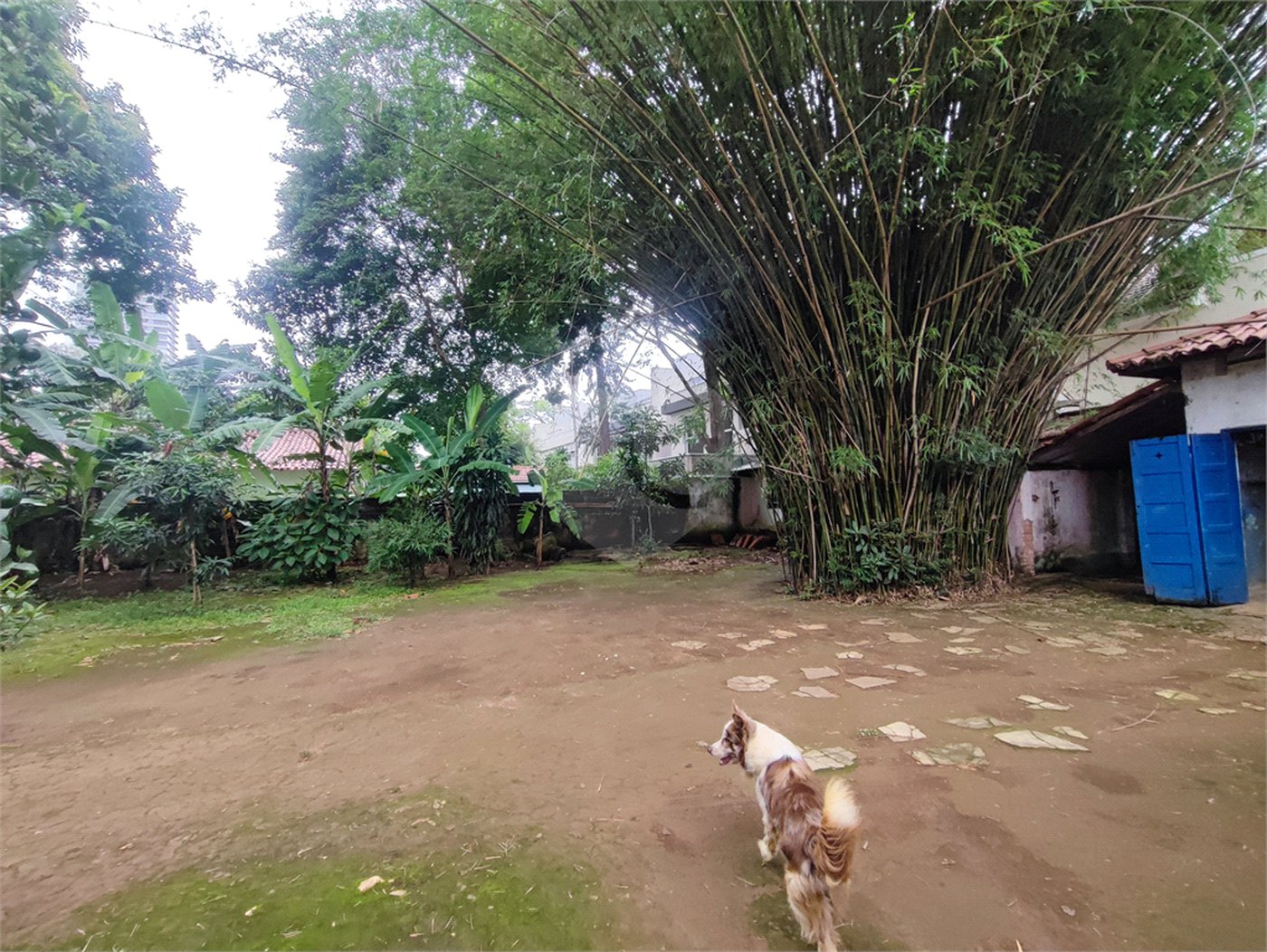 Terreno para venda no Campo Belo