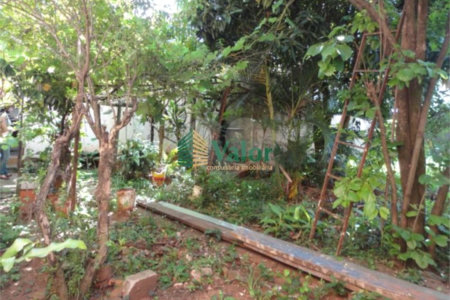 Cada térrea