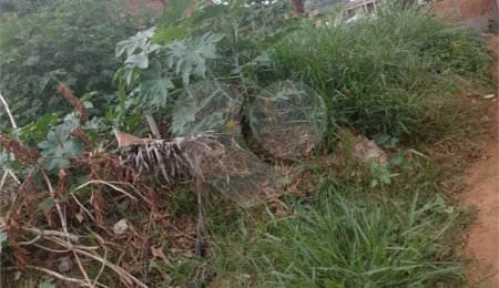 Terreno à venda em Cidade Aracy, São Carlos, SP