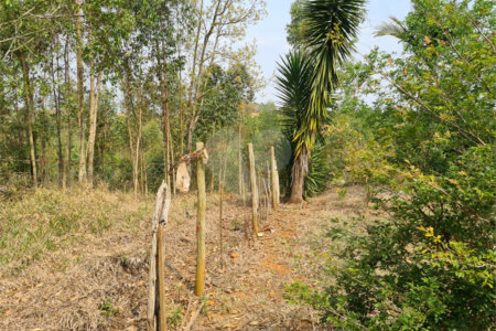 Ribeirão Grande - Bairro ferreira dos Matos - Sítio de 30.000 metros - R$ 600.000,00