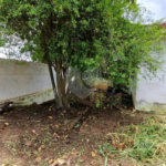 Terreno á Venda -Oportunidade Imperdível por R$ 550.000 -Chácara Inglesa-SP