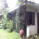 Casa Térrea à venda com 4 quartos, sendo 1 suíte, em Granja Julieta, São Paulo, SP