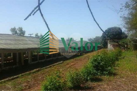 Sítio Estrada São Carlos Ribeirão - próximo São Carlos