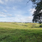 Ecoville 3 Club Residence - Lotes à Venda a partir de 360m²