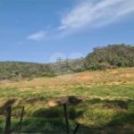 VENDA SÍTIO 48 hectares com estruura para granja, hidroponia e gado