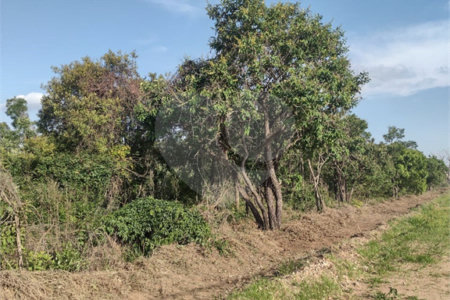 Vende-se área comercial com 220m de frente para a Washington Luiz,