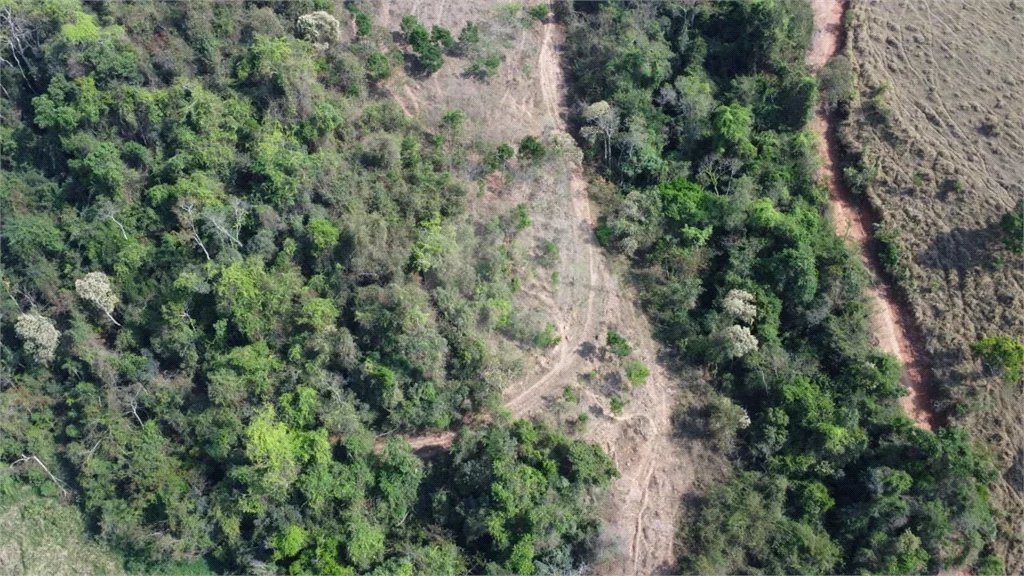 FAZENDA FORTALEZA, Caldas - MG