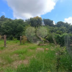 Terreno à venda no condomínio Broa Eco Village, Brotas - SP
