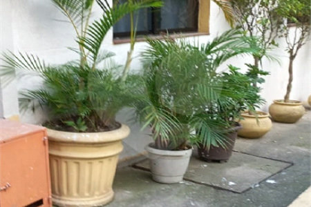 Apartamento à venda com 59m² - Bela Vista