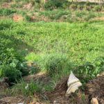 Terreno de 1.150m² no Jardim Gardênia Ideal para Casa de Campo em Atibaia