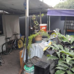 Sobrado à venda com 3 quartos em Vila Gomes, São Paulo - SP