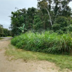 Terreno à venda em Costa do Sol, Bertioga, SP