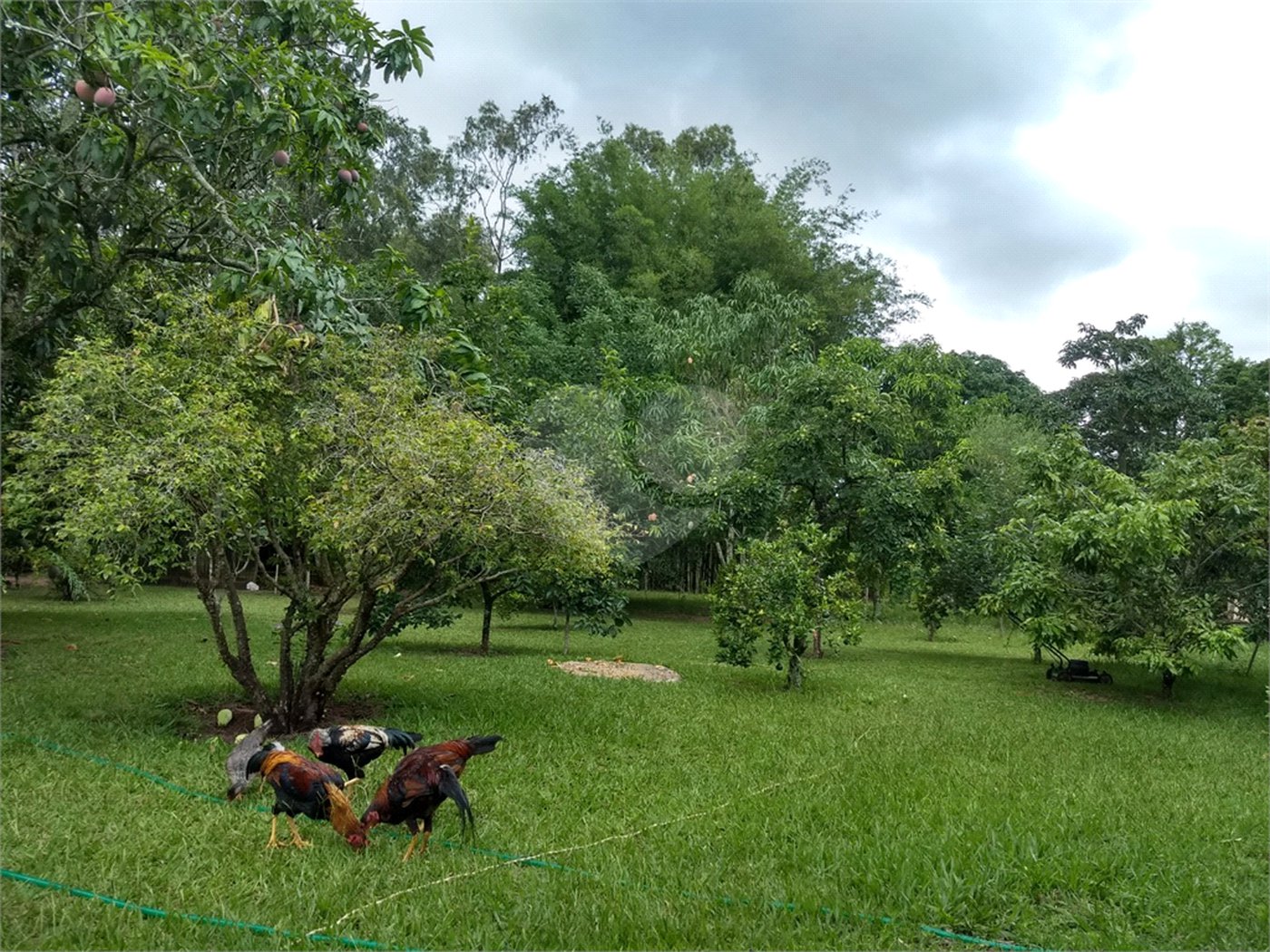 Chácara a venda no Residencial Planalto Serra Verde em Itirapina