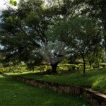 Fazenda à venda com 11 quartos no Centro, Analândia, SP