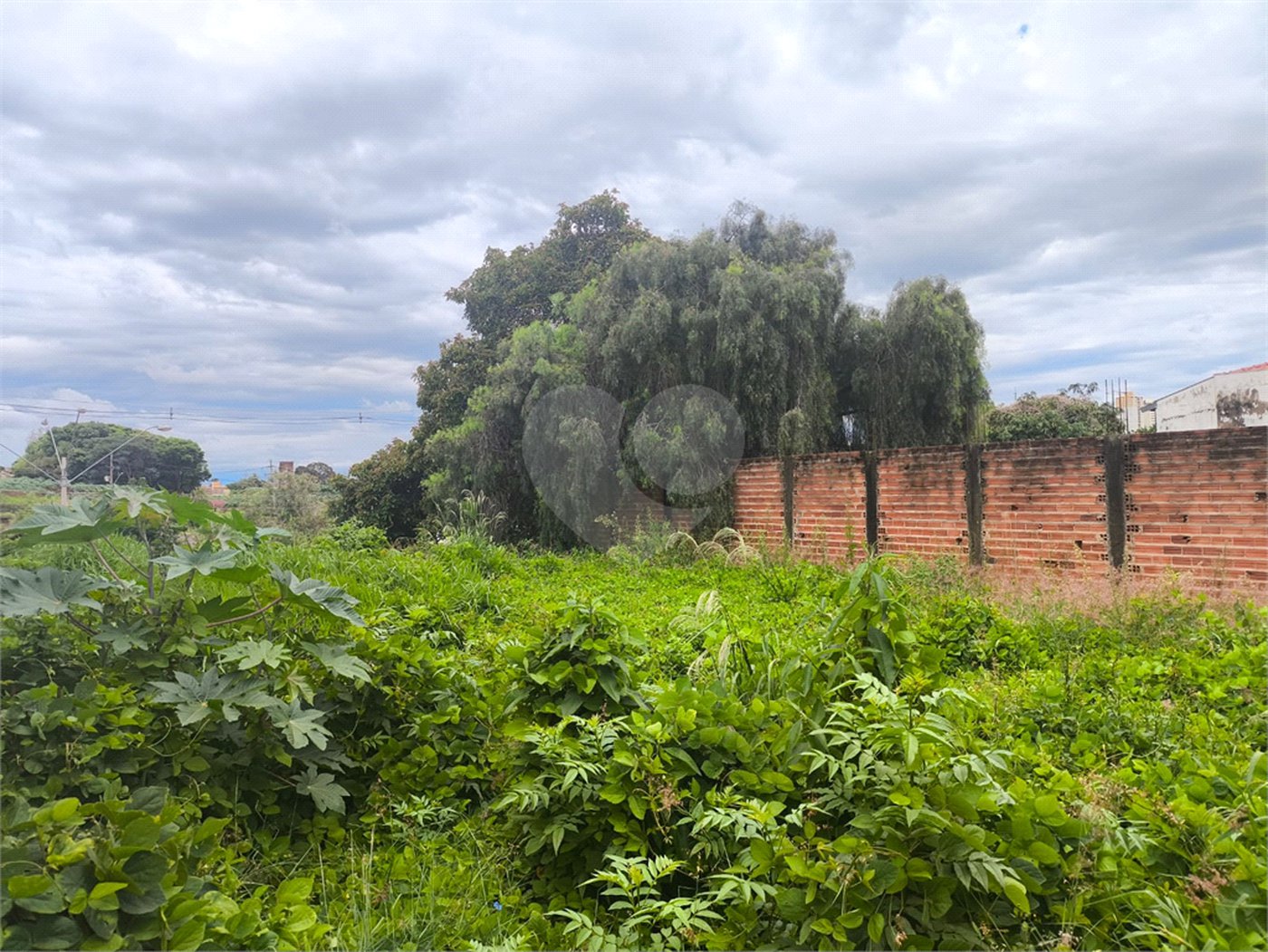 Terreno no Jardim Ricetti São Carlos - SP