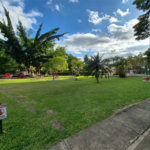 Apartamento à venda com 3 quartos em Jardim Jussara, São Paulo - SP