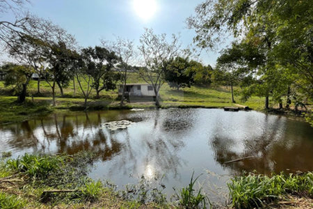 Linda chacara a venda! 4 dorm, piscina, lago, pomar, sauna e etc, R$ 1.200.000,00