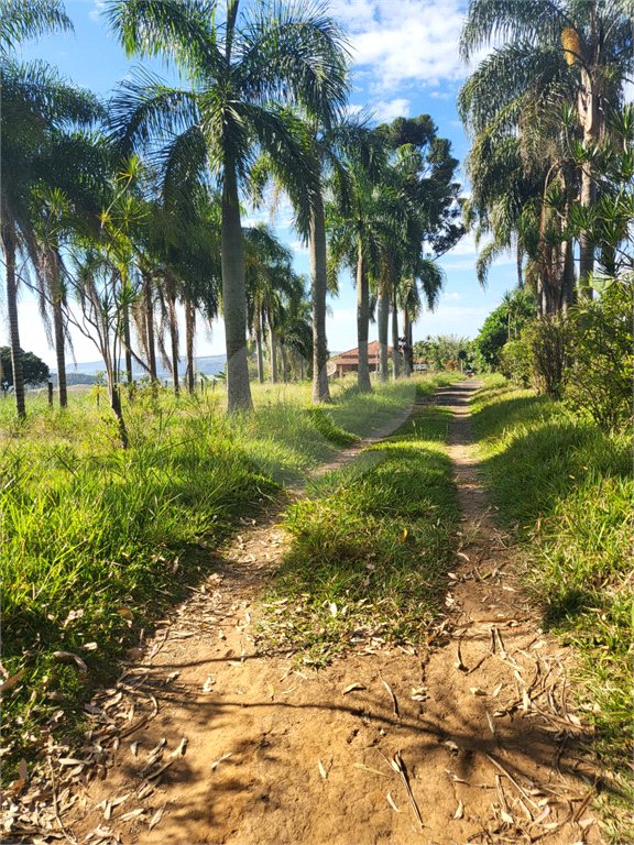 SÍTIO A VENDA - BELA VISTA