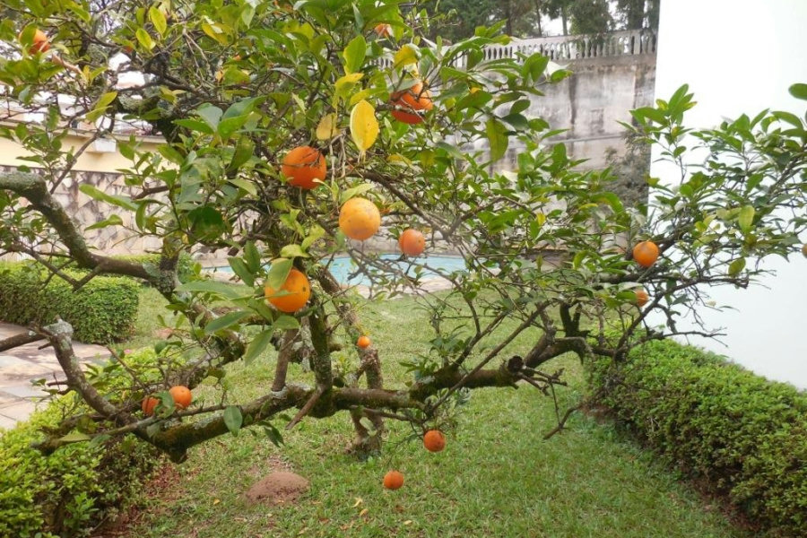 JARDIM FRANÇA MARAVILHOSA RESIDENCIA térrea à venda com imenso espaço verde!!