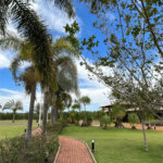 Terreno a venda em Analandia Estancia Cavalinho