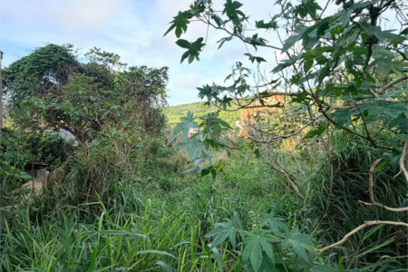 Terreno à venda em Albatroz, Armação dos Búzios, RJ