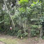 Terreno à venda no condomínio Alpes da Cantareira, Mairiporã - SP