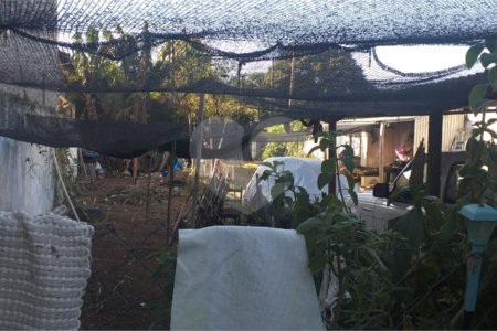 Casa Térrea no Jardim Novo Horizonte.