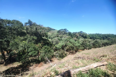 Área rural em Piracaia com 3.289 metros, ótima para chácara, as margens do rio Cachoeira