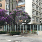 Apartamento à venda no bairro Bela Vista.