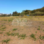 Terreno com 286,00 m² de área total.