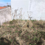 Terreno Jardim Embaré 250 metros