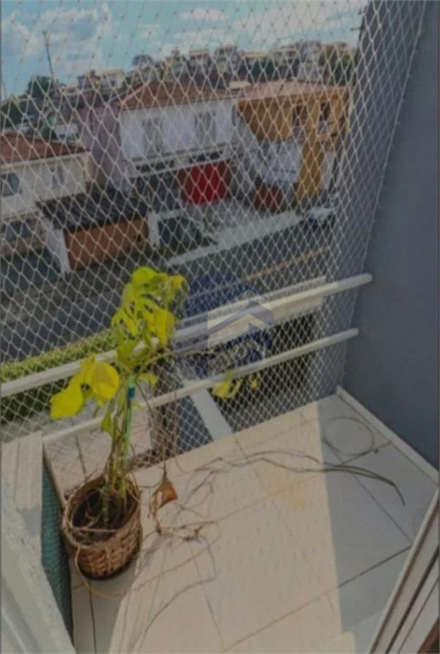 Casa à venda com 3 quartos, sendo 3 suítes, em Butantã, São Paulo - SP