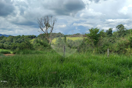 GLEBAS RURAIS EM PIRACAIA A PARTIR 20.000 M², EXCELENTE PARA CHÁCARAS E FAZENDINHAS