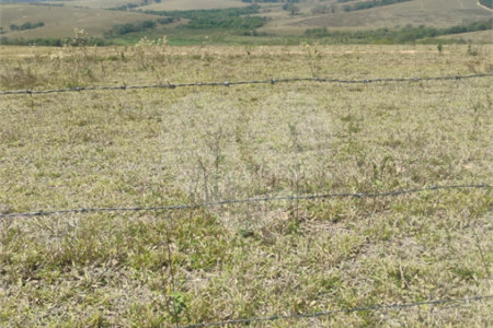Excelente Sítio à Venda em Monte Mor – SP