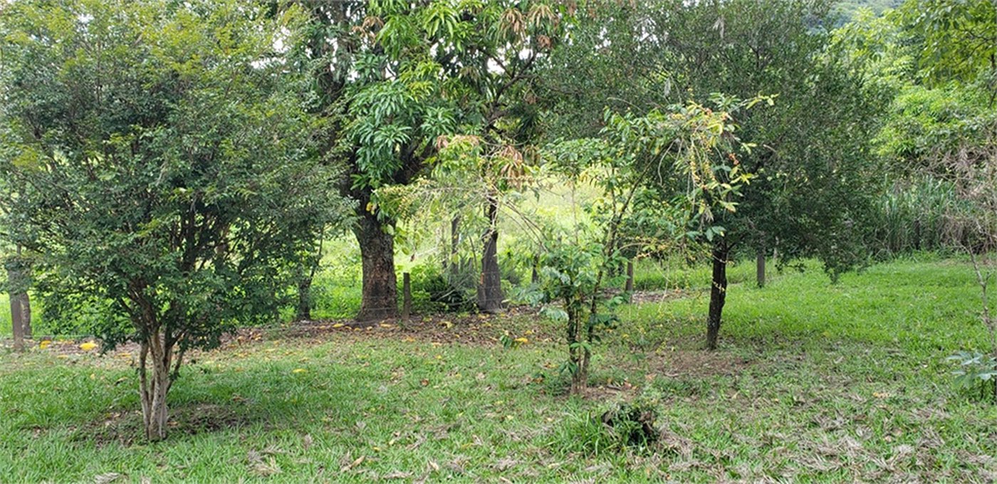 Sitio para venda.