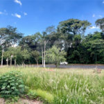Lote à venda no Residencial Samambaia