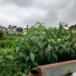 Terreno à Venda no Bairro Nobre Parque Santa Mônica