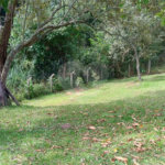 Chácara à venda na cidade de São Pedro - SP no bairro Vertentes das Águas - Refúgio Natural a 30 Minutos de Piracicaba - 5.000 m2
