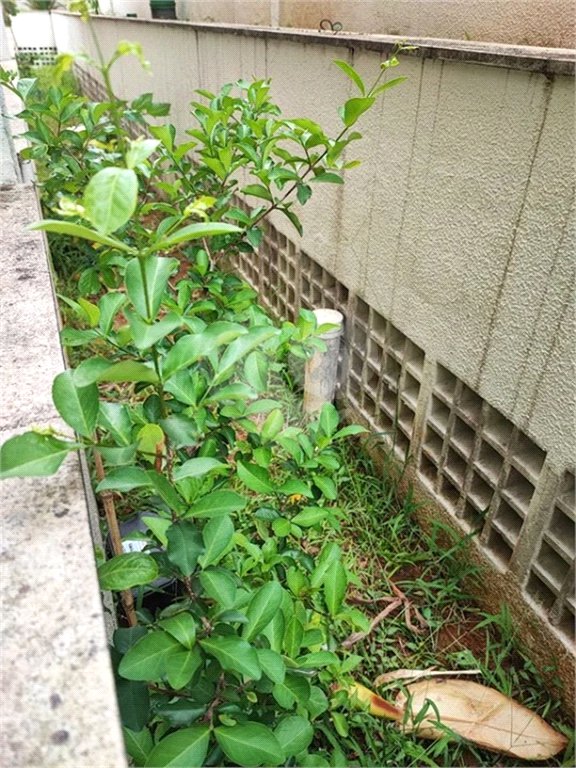 Apartamento Garden na Mooca com 322m² com 4 dormitórios 5 vagas Estuda Permuta