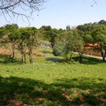 Terreno com 20.000m² à venda - no Parque Nova Xampirra, Jundiaí/Itatiba