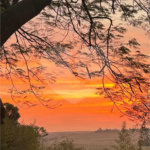 Sítio à venda com 8 quartos, sendo 3 suítes,  em Monte Alegre, Vinhedo, SP