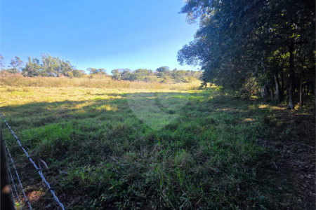 Sitio Granjeiro região de Água Vermelha 6,5 Alqueires (16,5 Hectares)
