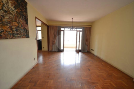 Apartamento 3 quartos - Centro - Av São Luiz