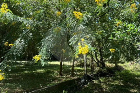 Excelente oportunidade no condomínio Vale das Laranjeiras, em Indaiatuba/SP. - R$ 1.850.000,00 - Terreno de 3.000 m²), com frente de 50 metros, proporcionando diversas possibilidades de projeto. O lote possui ótima localização dentro do condomínio, rodeado de natureza e com fácil acesso